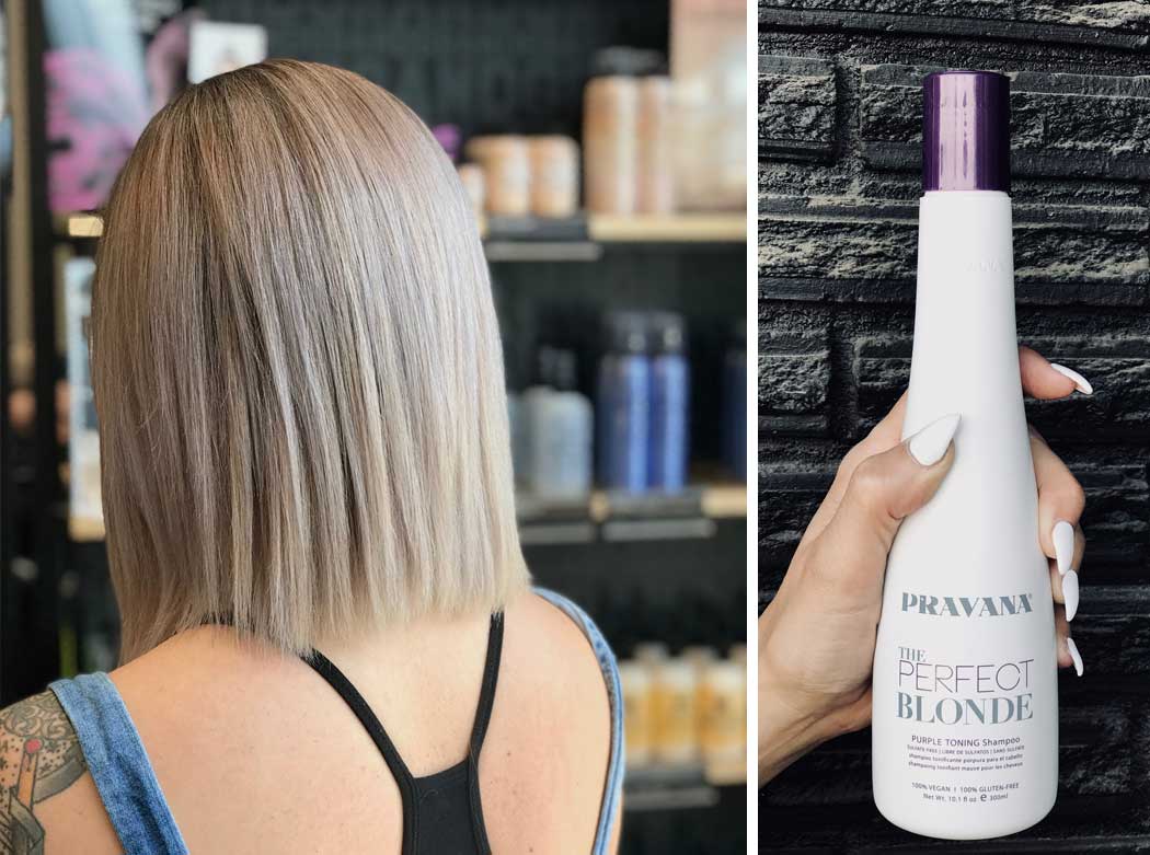 fjols krone Antage Brighten Your Blonde (and your Silver) this Fall with Purple Shampoo -  Grand Salon & MedSpa Denver