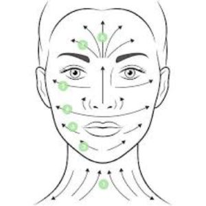Jade Roller Facial Diagram